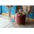 Виниловый ламинат Vinilam Дуб Росток 66777 3.7 мм, фото , изображение 9Паркет Plus