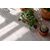 Виниловый ламинат Vinilam Дуб Ален (Rich) 20468 2.5 мм, фото , изображение 7Паркет Plus